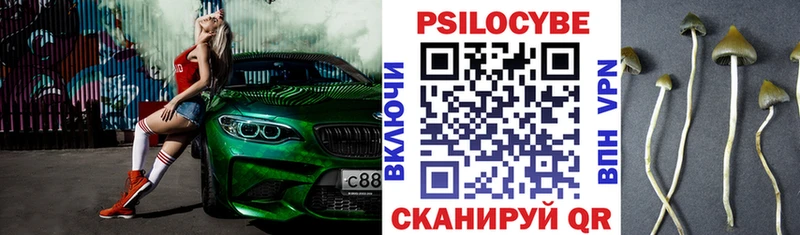 Галлюциногенные грибы Psilocybine cubensis ссылка на мегу shop формула закладки Краснотурьинск